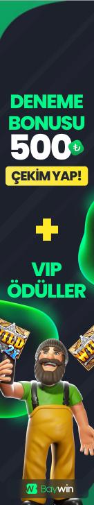BaywinBanner